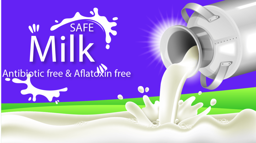 Safe and Clean Milk-स्वच्छ आणि सुरक्षित दुध उत्पादन
